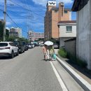 연주로민박 | 2024.07 한여름 속으로 03