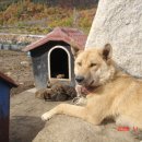 해우농장 이미지