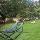 힐링독파크 이미지