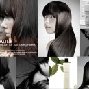 에스헤어살롱(S Hair Salon)