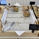 도우2호 이미지