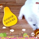 놀자 - 마포구 와우산로29길 19 | 놀자