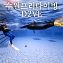 수원 프리다이빙 강습 D2VE 다이브에서 레벨1 자격증 따기