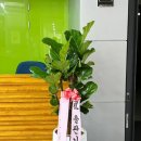 진영건축사사무소 - 파주시 청암로17번길 21 | 진영건축사사무소