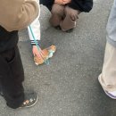 낭중지추