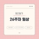 [임신일기] 26주차 증상 (분당제일여성병원 임당검사, 딸꾹질 태동, 성남시 산후도우미 업체 예약...
