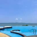 비치호텔 | 태국 방콕+파타야｜🏖️파타야 로얄 클리프 비치호텔 수영장 후기