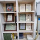 바디 체인지 업 이미지