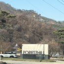 조인스레드 | 서울근교 노캐디 2인플레이 │ 포천 포레스트힐cc 시설 · 라운딩 리뷰