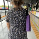 빛고을세탁 이미지