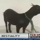 케냐 - 광주시 | 케냐