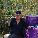 연희 농장 이미지