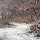 저금어지길 이미지