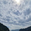 매종리바벨라