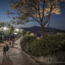 서울 한양도성(서울성곽) 이미지