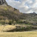 울릉천국 아트센터 이미지