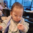 하비함미 이미지