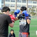 한국복싱클럽 이미지