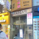 사랑채 닭국수명가 | [명동 아이와 가볼만한곳] 캣카페 '고양이사랑채' : 명동교자 먹고 고양이들과 함께하는 정서 힐링 데이트!