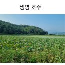 경남기독문인회 청지기 평론, 김홍식목사 2024.08 이미지