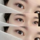 최근희소식 이미지