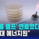 (한국)차세대 에너지원- 알코올램프연료였다. 이미지