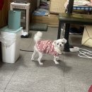 닭치고닭꼬치 | 포항 학산동 닭꼬치 맛집 '닭치고 닭꼬치' 리뷰!