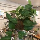 은계중학교 이미지