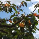 남성현역 이미지