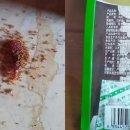 중국산 끔찍해! 개미들이 땅에 떨어진 중국산 건고기 부스러기를 먹고 죽어갔다 (영상). 이미지