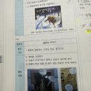 Re: 전모 352pg 언어의 구성요소 이미지