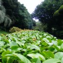 용천2리 이미지