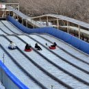 좌구산 휴양랜드 썰매장 이미지