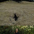 캐나다 투명 망토, 할로우 맨이 현실로?…"사고 싶다" 이미지