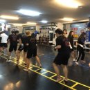 레드짐 복싱 이미지