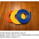 나드리독 이미지