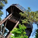 갯골수로2 | 시흥 갯골 생태 공원 뿌시기