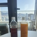 나니쌀롱 | 속초 중앙시장 맛집,10년 단골 속초 단호박식혜, 기태네식혜(구 깜순이네)