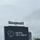 순천 엘리트복싱 이미지