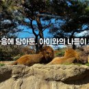 📌 언젠가 꼭, 아이와 가보고 싶은 곳들