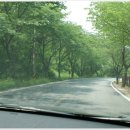 단국대 진입로 이미지