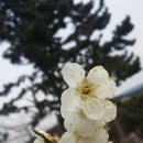 (주)부산나비 이미지