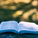 page Turner books
