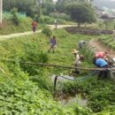 화천1리 이미지