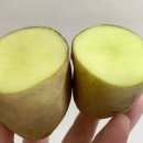 그냥초록