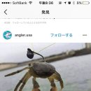 찌찌뽕
