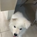 베리굿동물병원 이미지