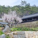 금산사(제50호)