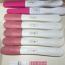 진오비산부인과의원 | 임신 초기 피검사 hCG 수치 낮음 8.9 자연유산 가능성? 2일 뒤 71.4 반전 후기