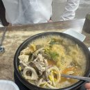 파주 탄현 서울 근교 맛집 신솥해장국 후기 (돈까스, 내장탕 추천)
